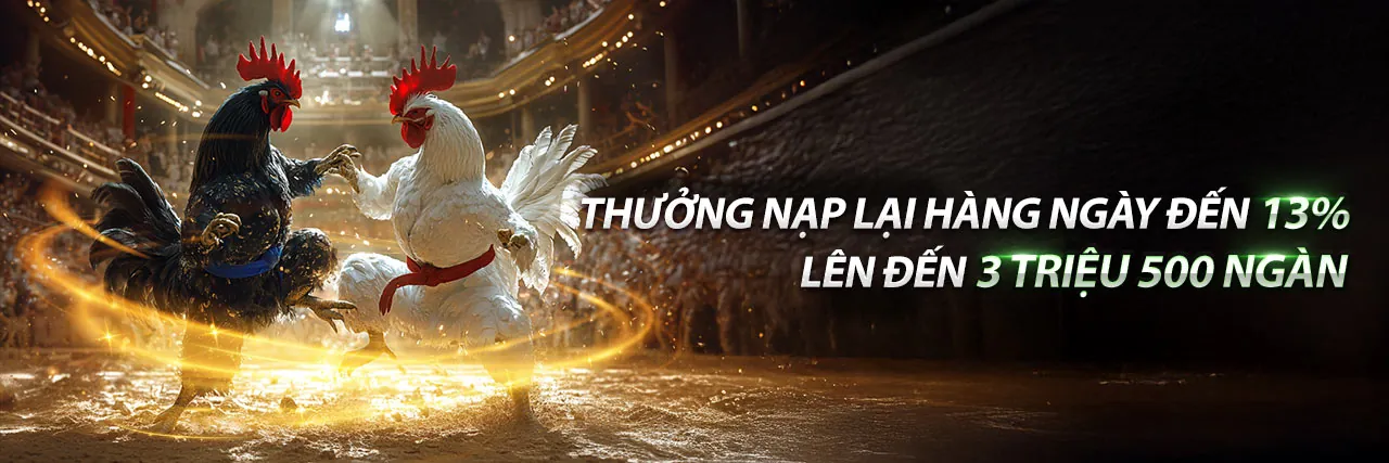 Đá gà trực tuyến ho88 chính thức